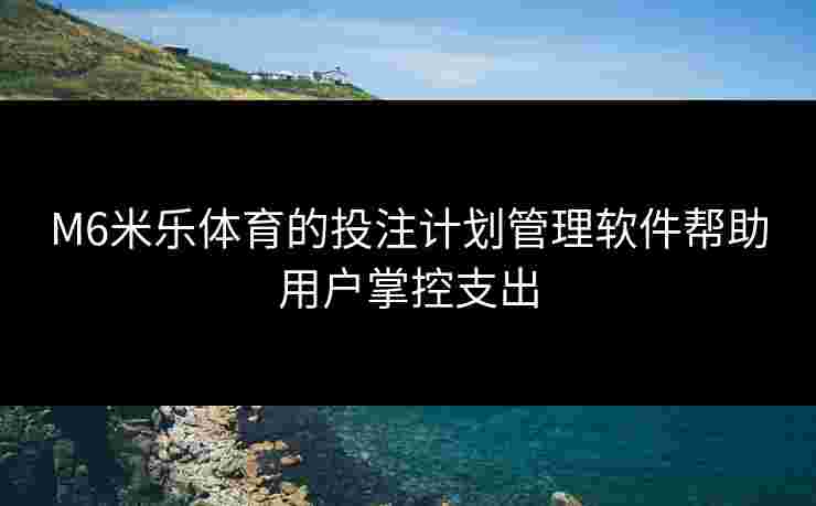 M6米乐体育的投注计划管理软件帮助用户掌控支出