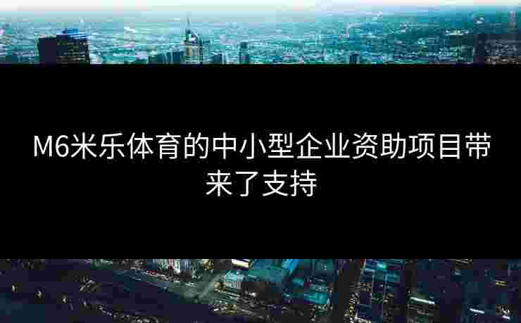 M6米乐体育的中小型企业资助项目带来了支持